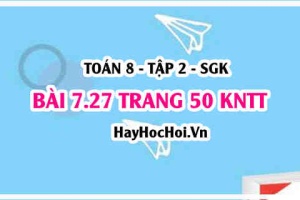 Bài 7.27 trang 50 Toán 8 Tập 2 Kết nối tri thức: Ứng dụng hàm số bậc nhất vào tỉ giá hối đoái